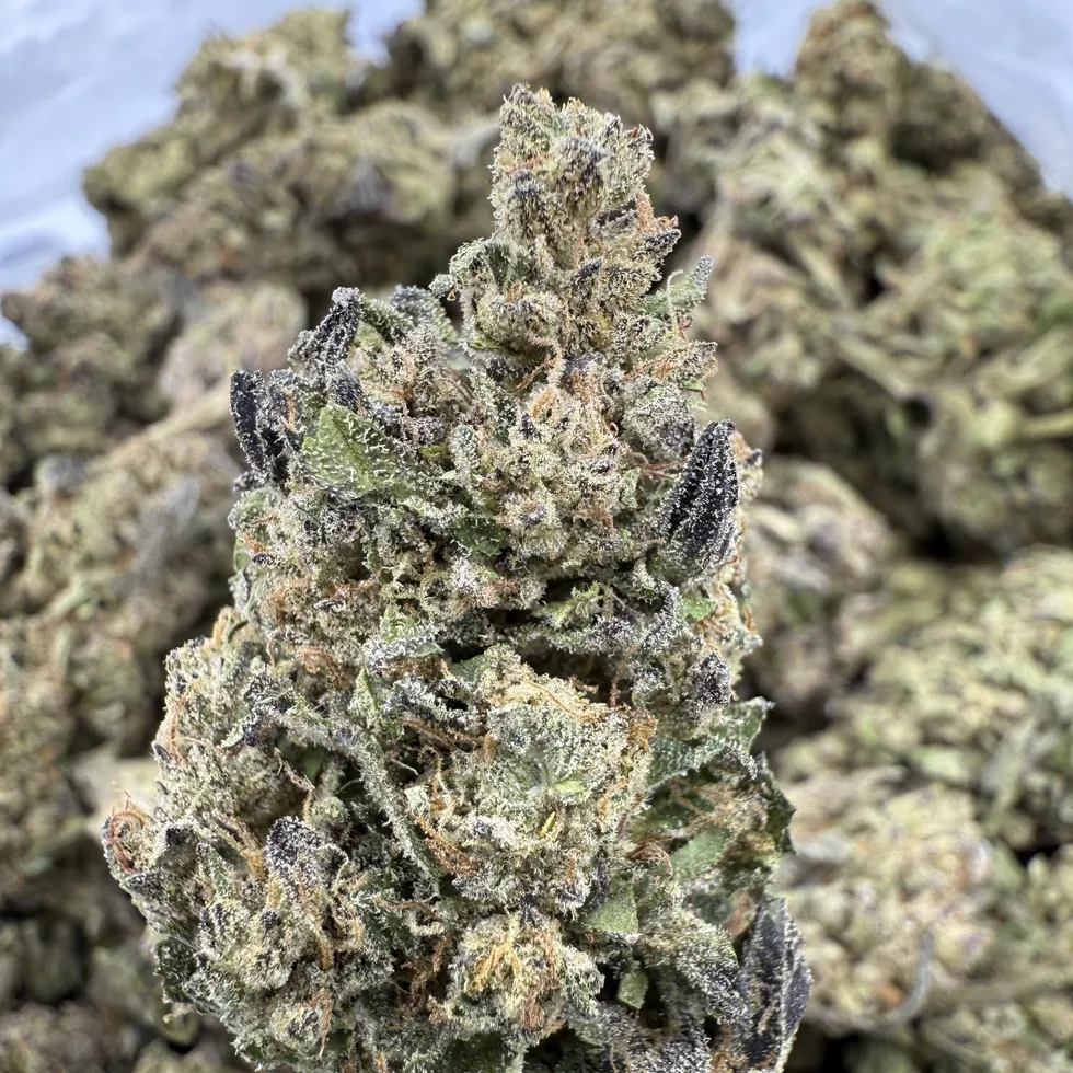 Cadillac Rainbow greenhouse hemp flower