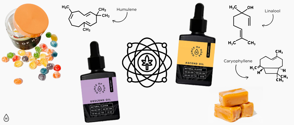 The Entourage Effect: Why Terpenes Matter
