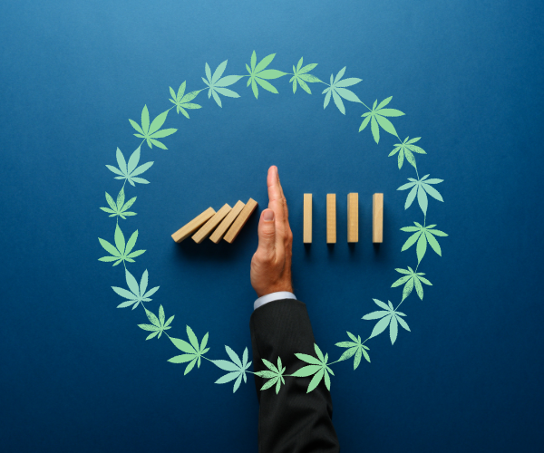 how to prevent a cannabis tolerance in the future