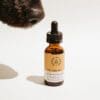 Broad-Spectrum Peanut Butter CBD Oil for Pets