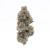 Tahoe OG Strain, 28.1% THCa Flower