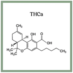 thca molecule