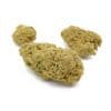 Delta 8 Moon Rocks