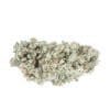 Delta 8 Aquaponic White CBG Flower